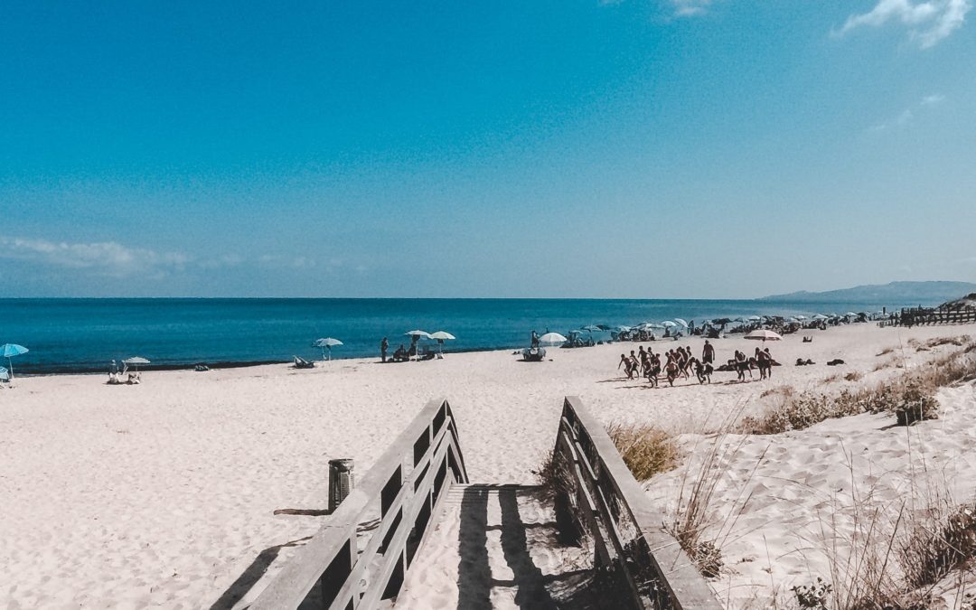 Gopal Introduces “Penny’s Law” to Promote Disability-Accessible Beaches